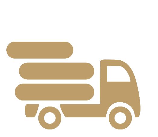 ارسال رایگان